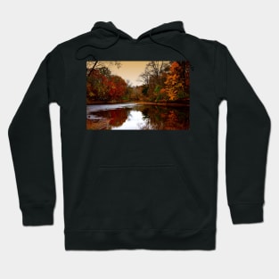 Autumn Splendor Hoodie